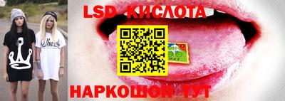 ГАЛЛЮЦИНОГЕННЫЕ ГРИБЫ Гусев